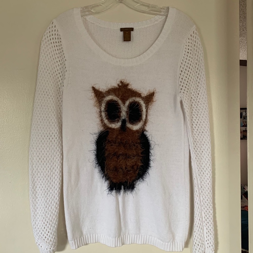 Fuzzy Knit Sweater